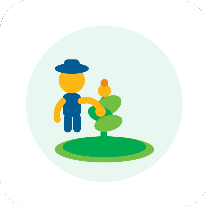 EG – Facilitated workshops