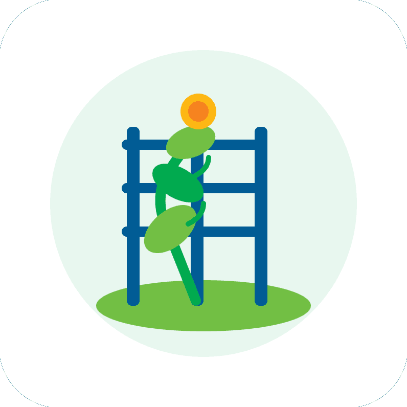 EG – Practice sessions